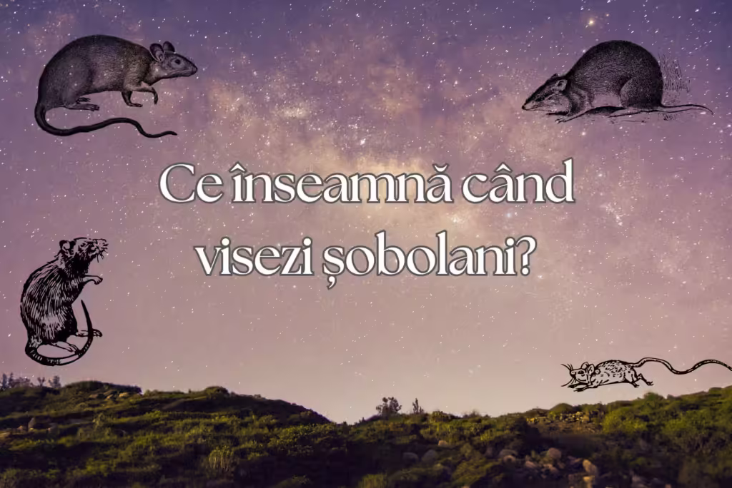 ce inseamna cand visezi sobolani