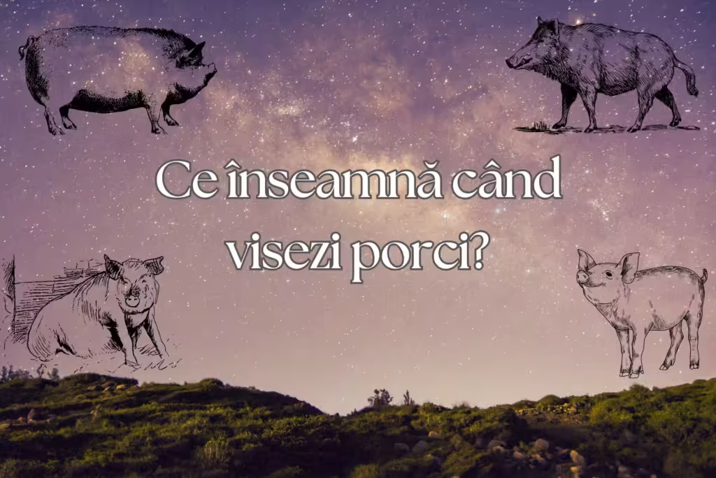 ce inseamna cand visezi porci