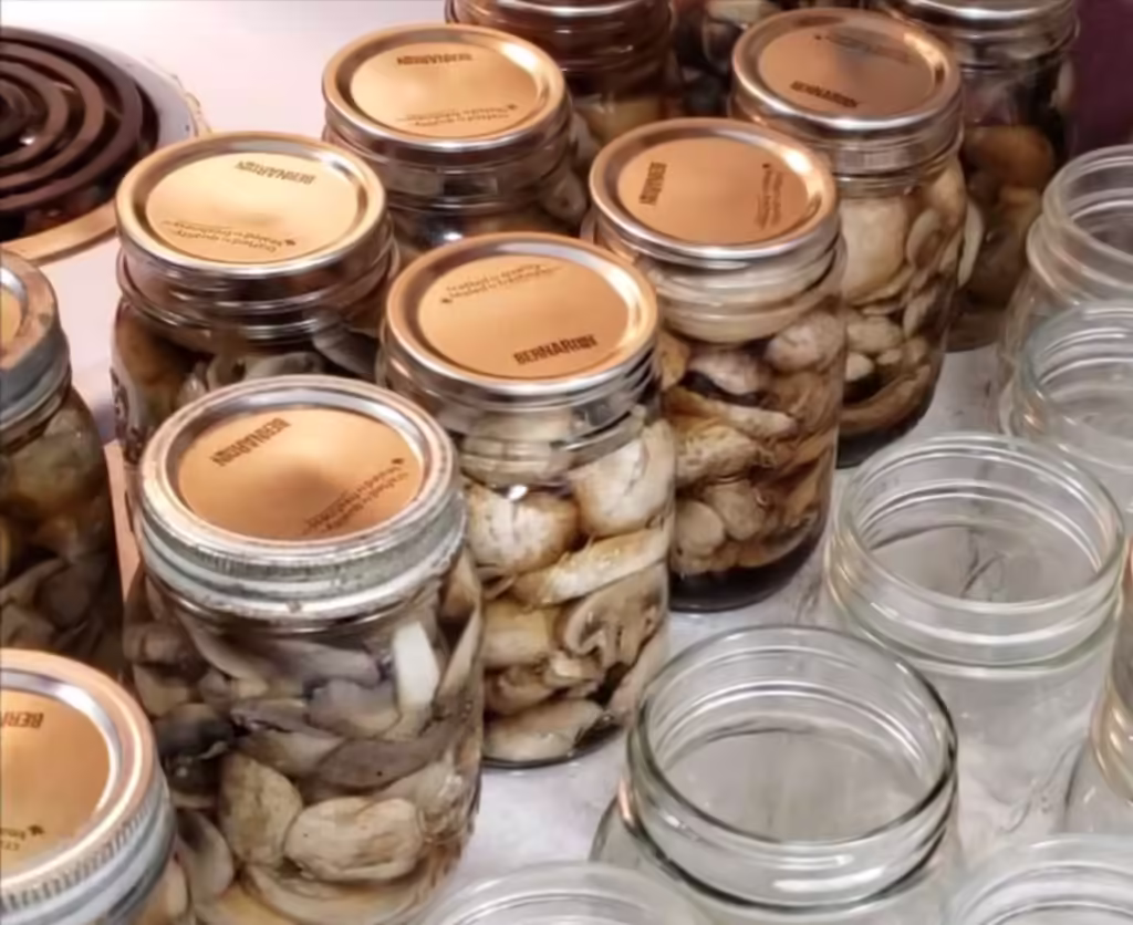 conservare ciuperci champignon la borcan pentru iarna