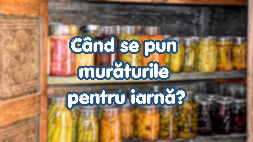 Imagine de prezentare pentru ghidul de muraturi